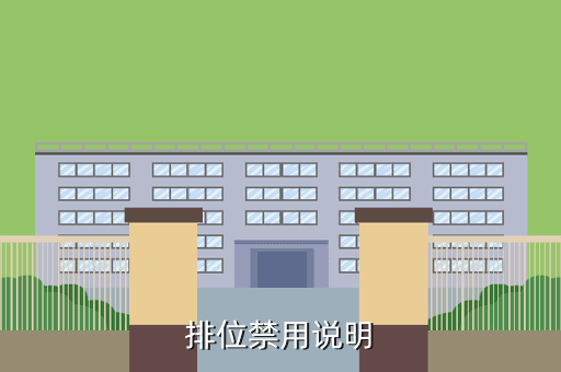 排位禁用说明